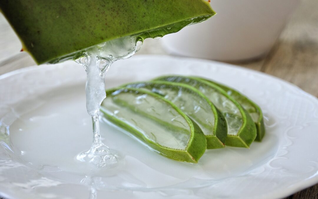 Aloe Vera: Die Königin der Heilpflanzen in der Naturheilkunde