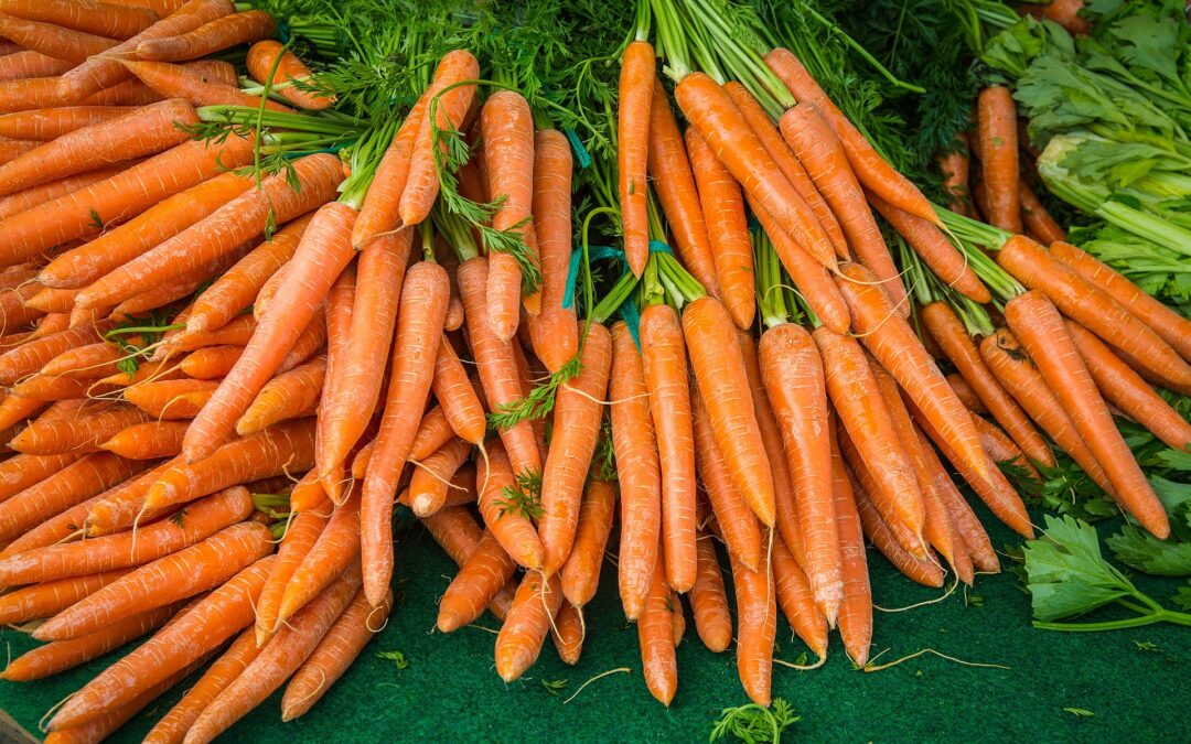Vitamin A und Retinol: Geheimnisse für jugendliche Haut durch Zellregeneration