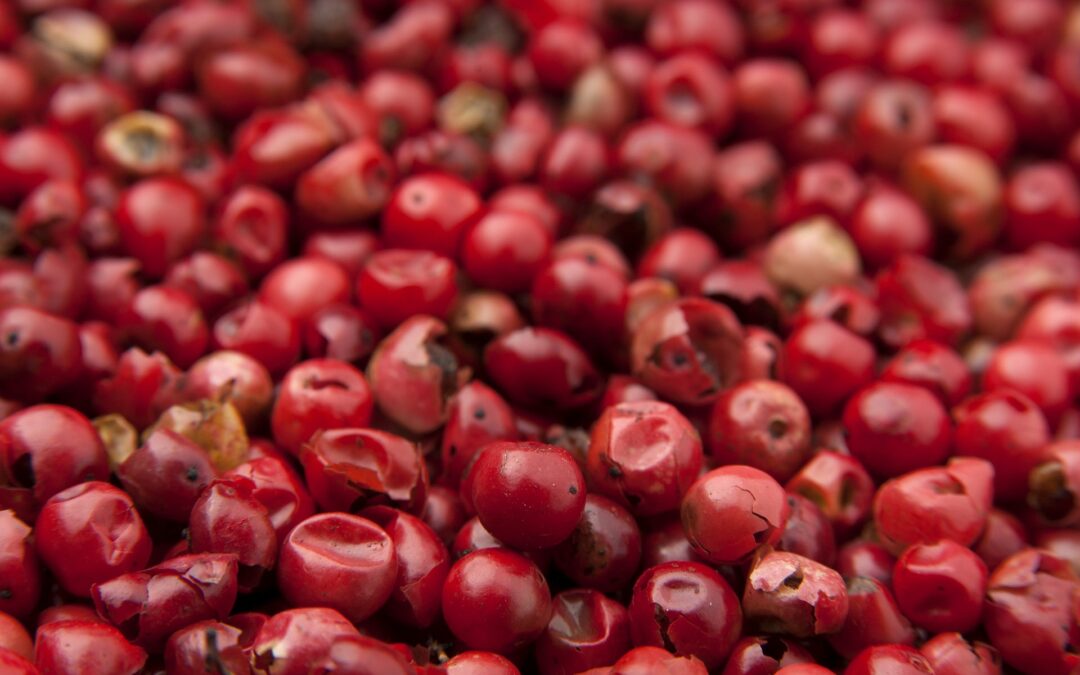 Goji-Beeren: Die Superfrucht für antioxidative und schützende Hautpflege
