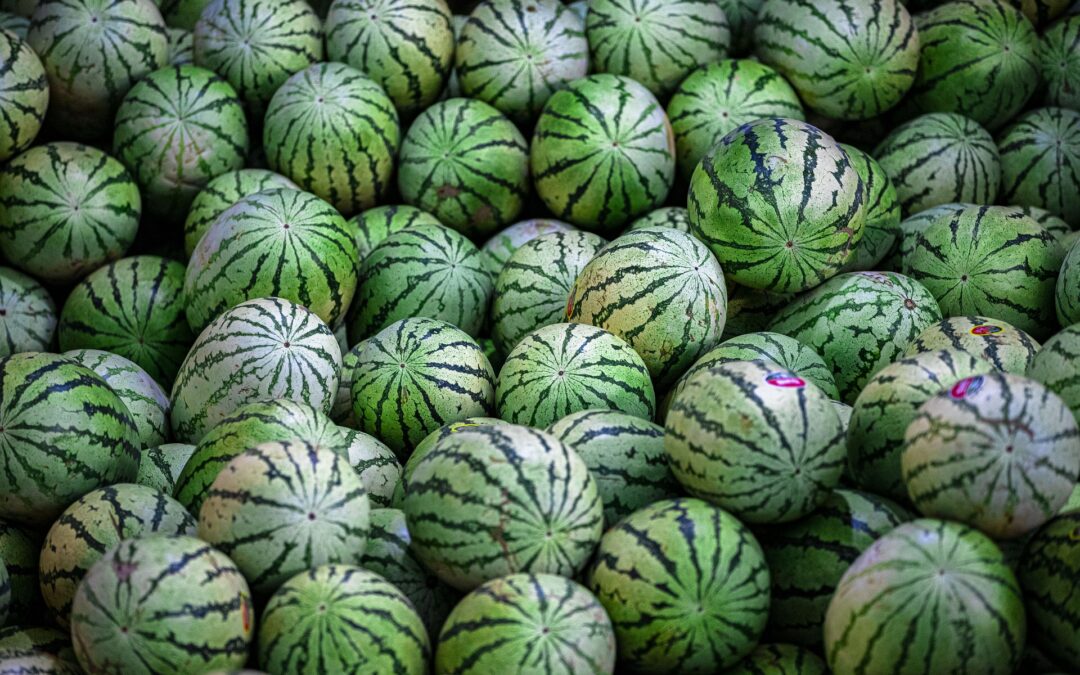 Wassermelonenextrakt: Die ultimative Erfrischung und Feuchtigkeit für deine Haut